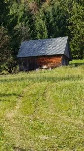 Building land For Sale Scărisoara 